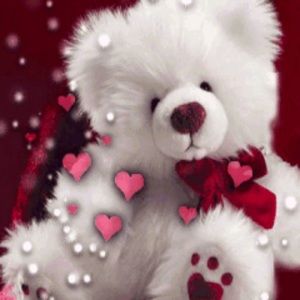 Meet your Posher, Gessel